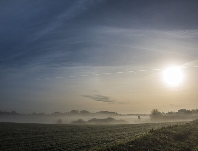 Nebel über einem Feld in der Uckermark nach Sonnenaufgang
